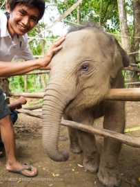 Aku suka bermain dengan manusia