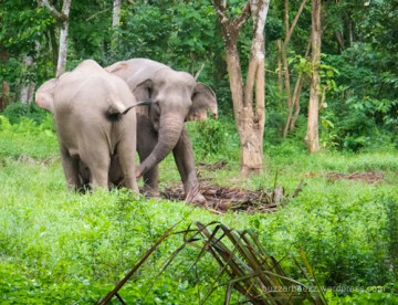 Ibu dan Tante Ida berkelahi gara-gara aku