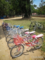 Sepeda yang bisa disewa di Candi Muaro Jambi